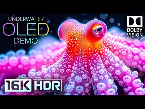 Underwater World OLED Demo HDR 16K Video Ultra HD Dolby Vision™ 60fps