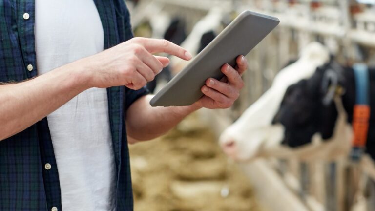 L’IoT rivoluziona il settore lattiero-caseario: il progetto di TIM per il Caseificio Sangiovanni