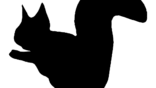download-big-image-png-medium-image-png-small-image-png-microsoft–12